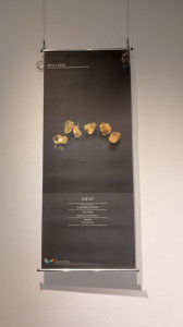 596397718 1257546519740896 8025945891581328916 n