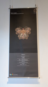 596492794 1257546033074278 8572506862945724289 n