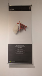 596850820 1257548066407408 3766135847756768001 n