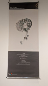 597343465 1257547953074086 8510221460688517144 n