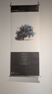 597657099 1257548296407385 2576074686538791742 n